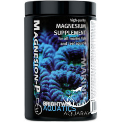Magnesion-P 800g