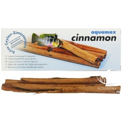 Cinnamon (Cynamon) (014)