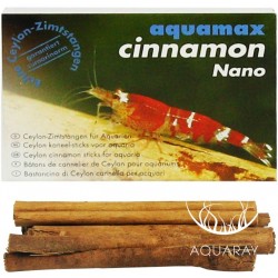 Cinnamon nano (Cynamon) (015)