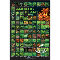 Aquatic Plant Poster AZ90152