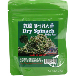 Dry Spinach 20g (B2BENIDS20)