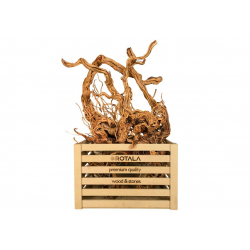 ROTALA Premium Azalea Wood...