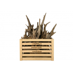 ROTALA Premium Dark Ancient...