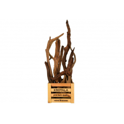 ROTALA Premium Branches...