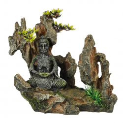 MOUNTAIN BUDDHA/ Budda...