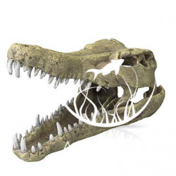 CROCODILE HEAD -M- /...